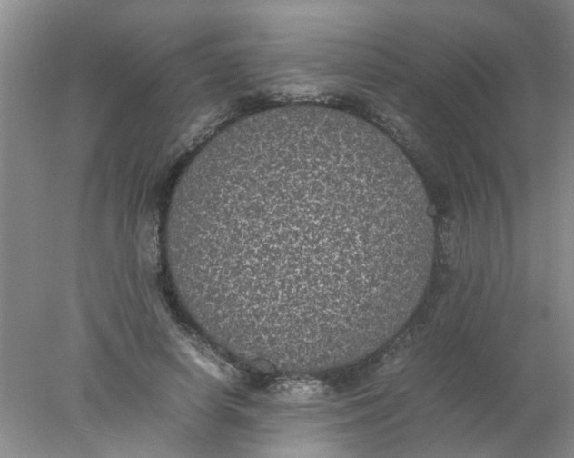 X0000078020642200611171914