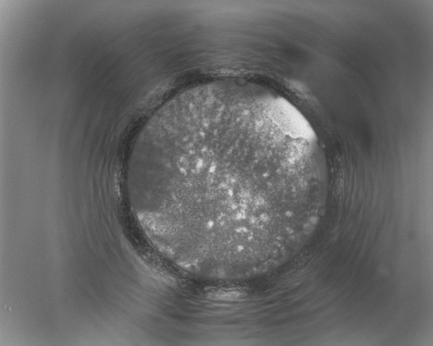 X0000078020643200611171914