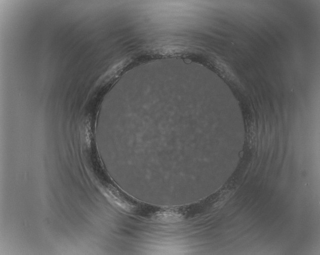 X0000078020644200611171914