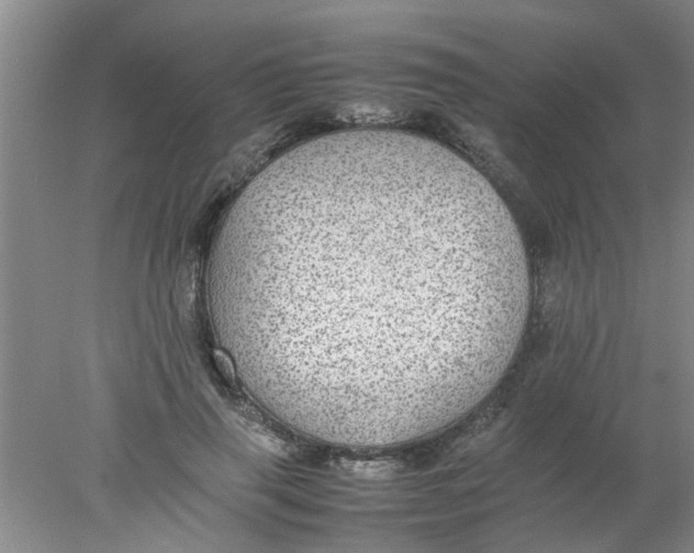 X0000078020645200611171914