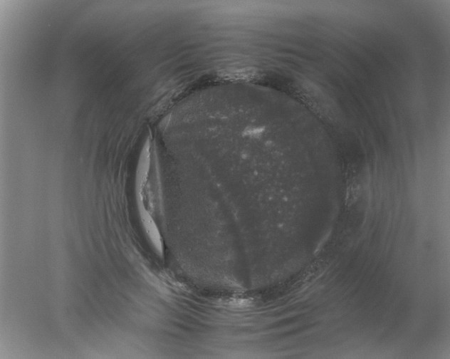 X0000078020647200611171914