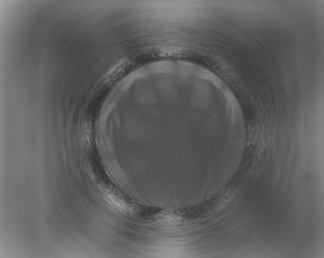 X0000078020648200611171914