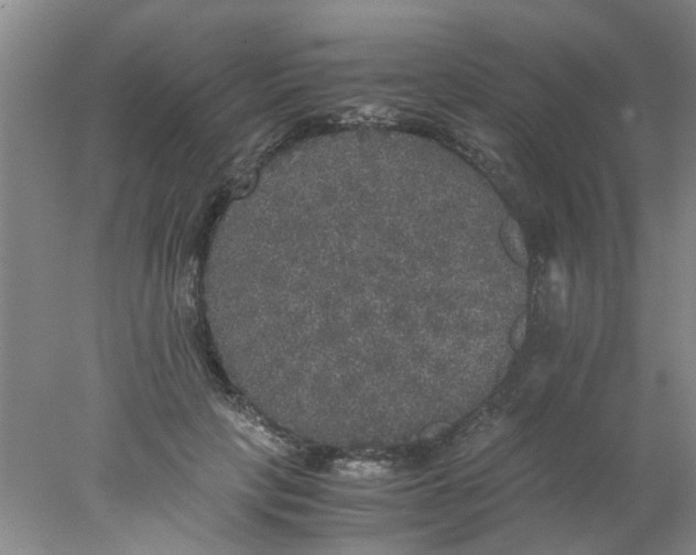 X0000078020649200611171914