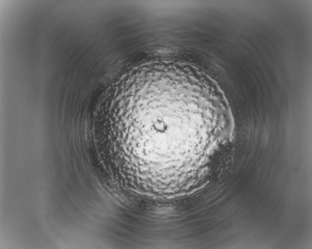 X0000078020651200611171914