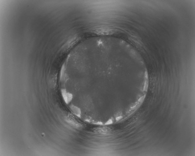 X0000078020652200611171914