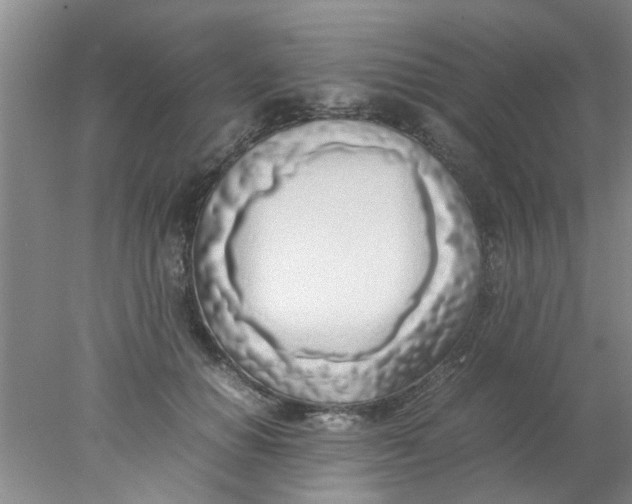 X0000078020654200611171914