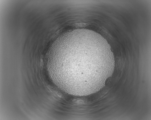 X0000078020655200611171914