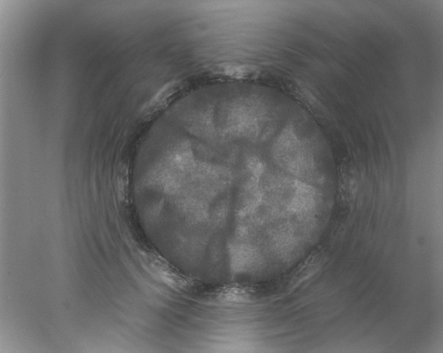 X0000078020656200611171914