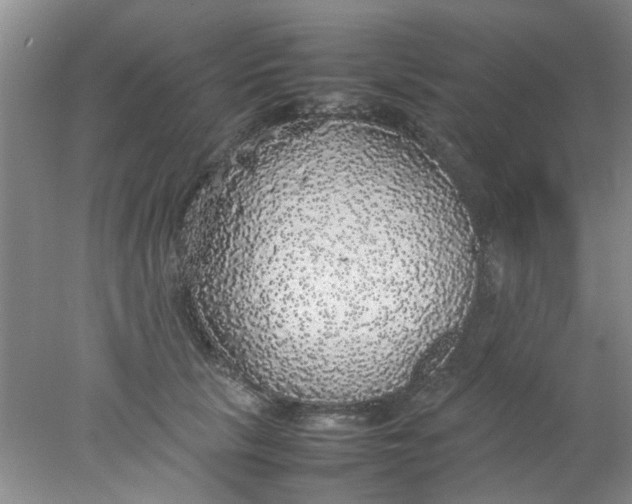 X0000078020657200611171914