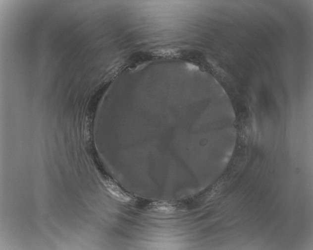 X0000078020658200611171914