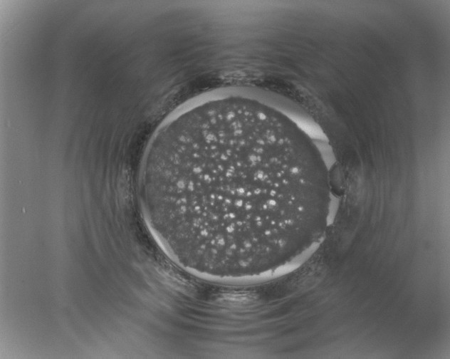 X0000078020659200611171914