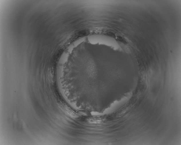 X0000078020661200611171914