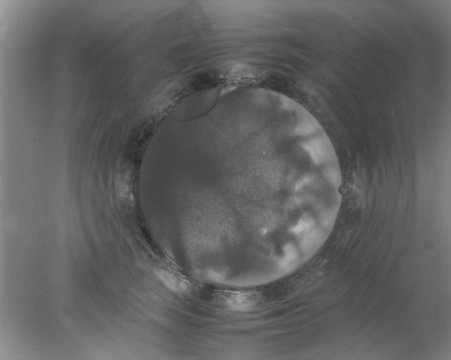 X0000078020663200611171914