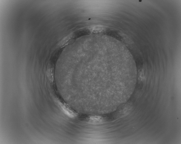 X0000078020666200611171914