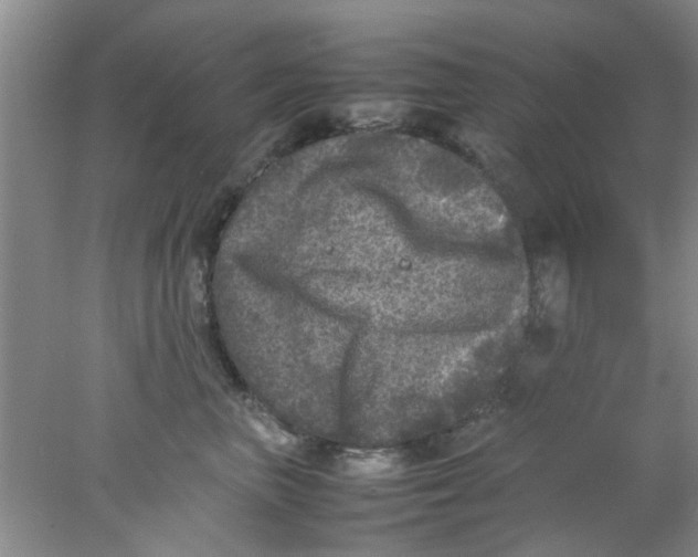 X0000078020667200611171914