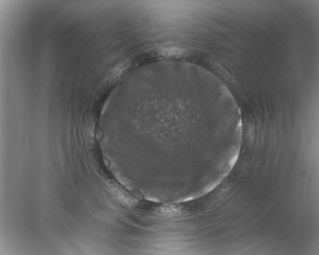 X0000078020668200611171914