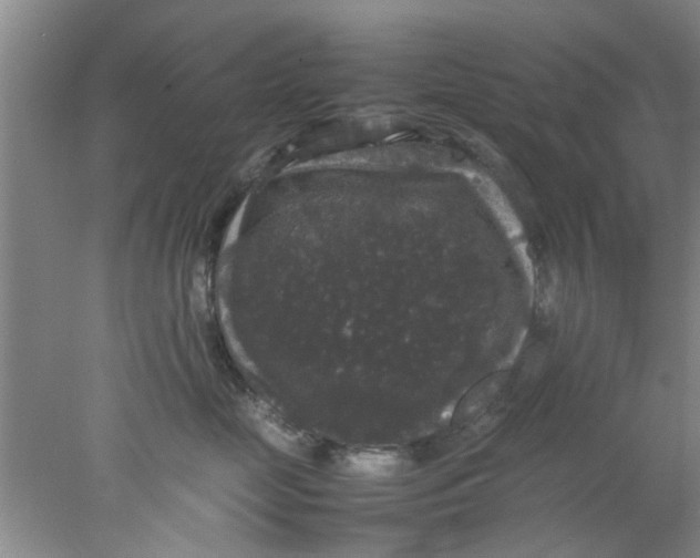 X0000078020669200611171914