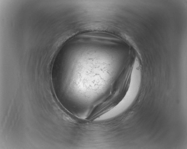 X0000078020673200611171913