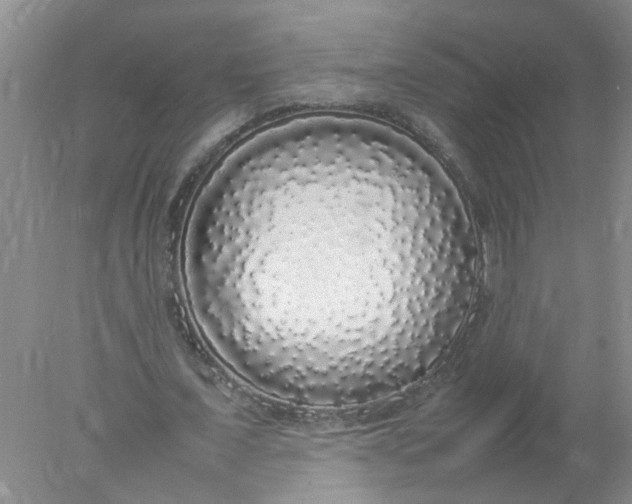 X0000078020675200611171913