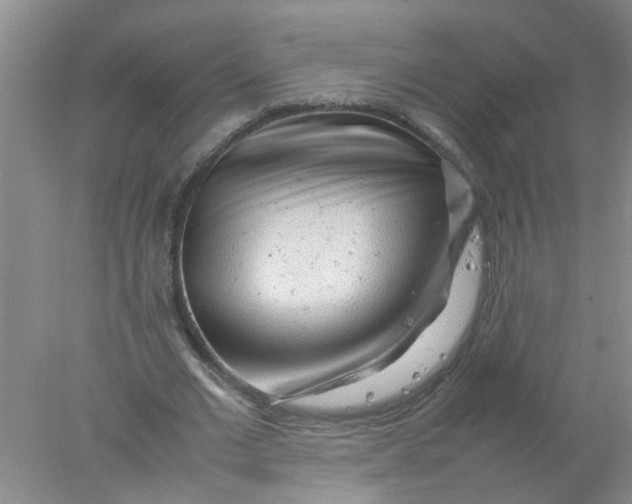 X0000078020677200611171913