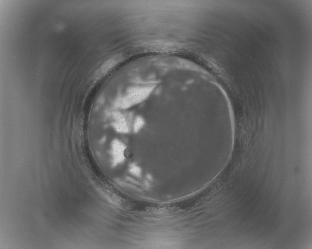 X0000078020679200611171913