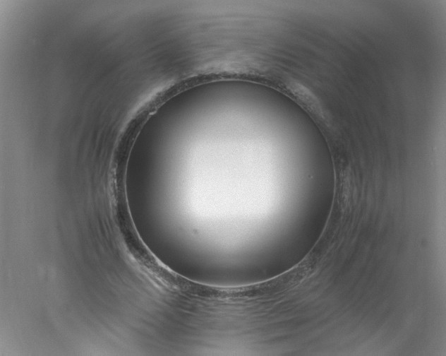 X0000078020680200611171913