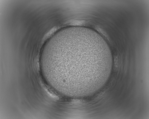 X0000078020682200611171913