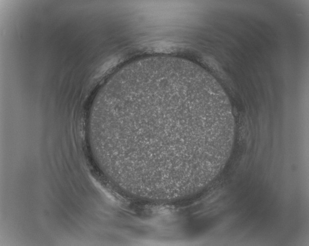 X0000078020683200611171913