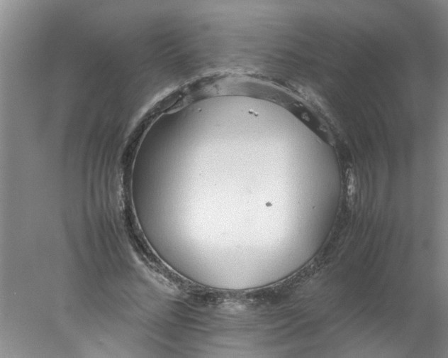 X0000078020684200611171913