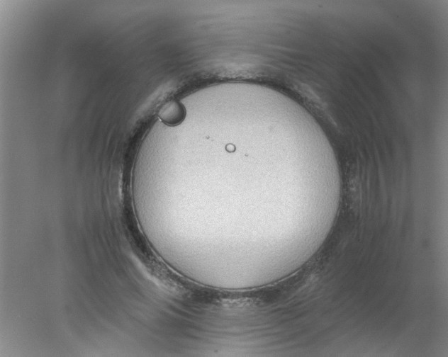 X0000078020686200611171913