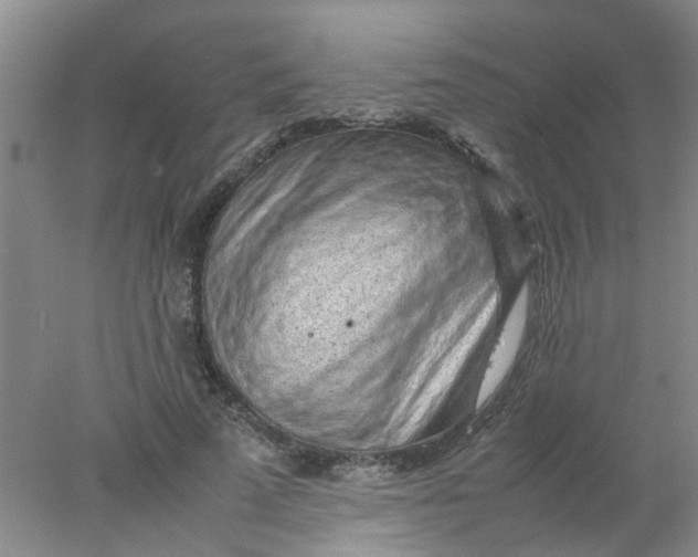 X0000078020689200611171913