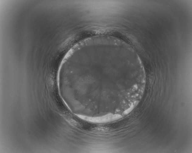 X0000078020691200611171913