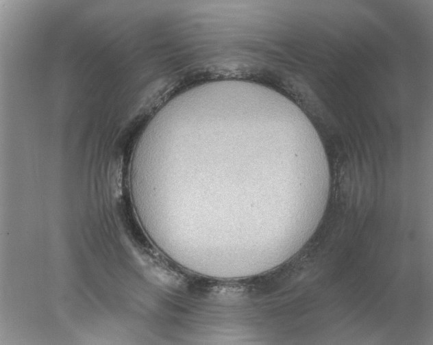 X0000078020694200611171913