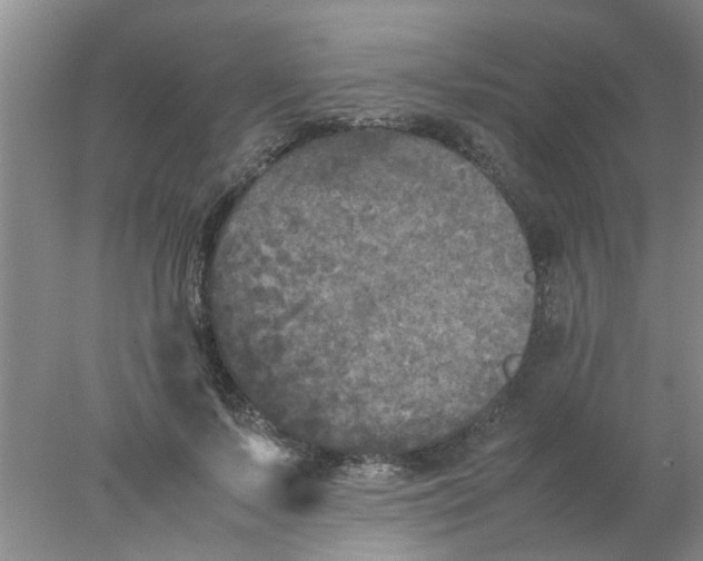 X0000078020695200611171913