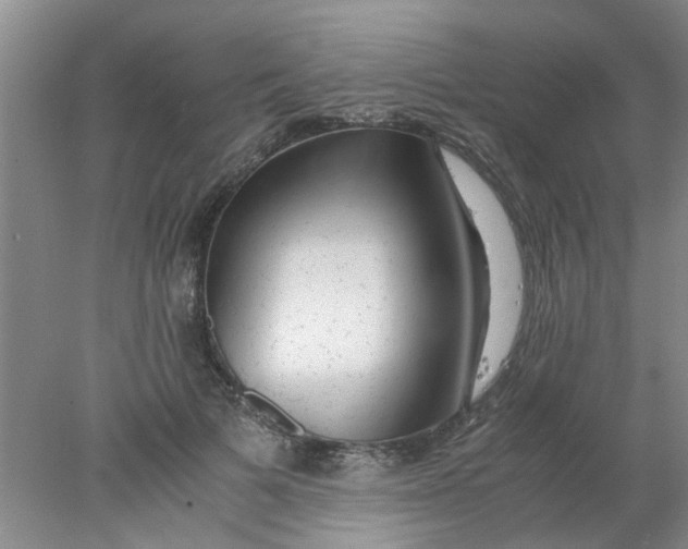 X0000078020697200611171913