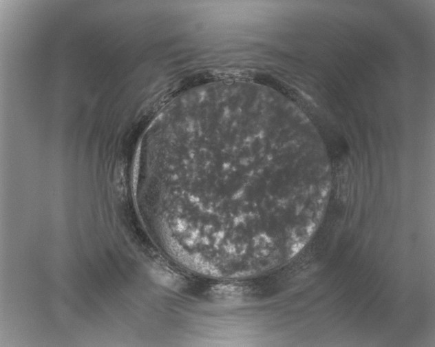 X0000078020699200611171913