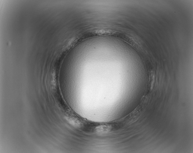 X0000078020700200611171913