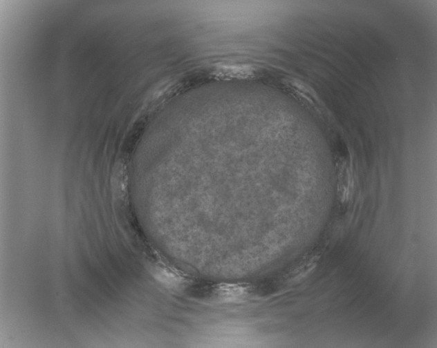 X0000078020701200611171913