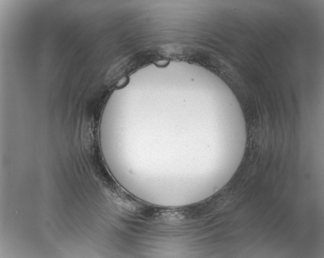 X0000078020702200611171913