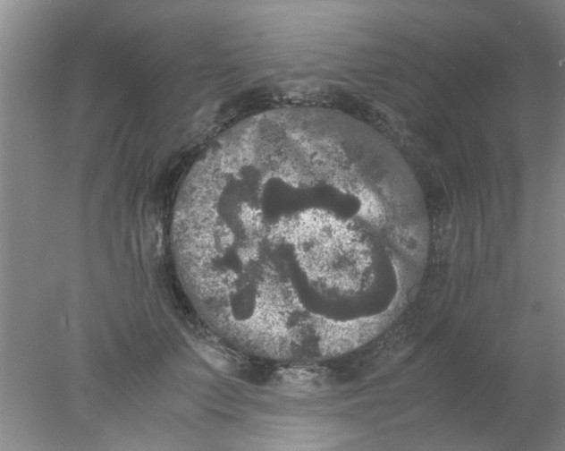 X0000078020703200611171913