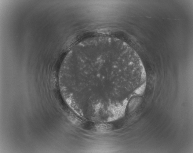 X0000078020707200611171913