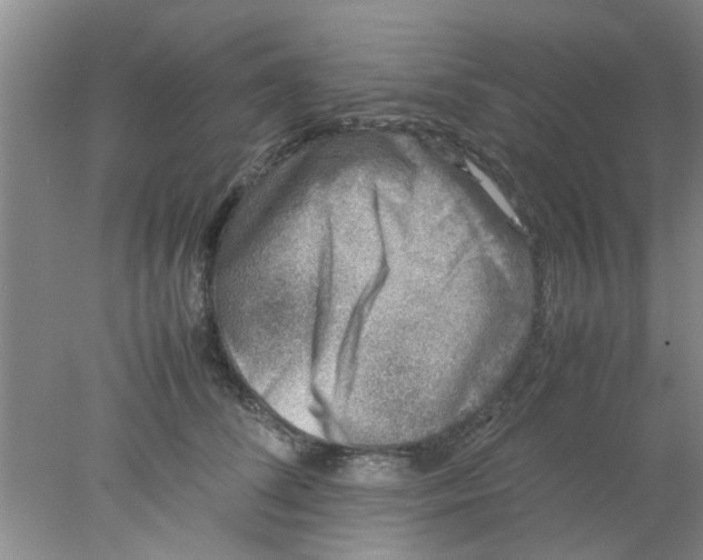 X0000078020708200611171913