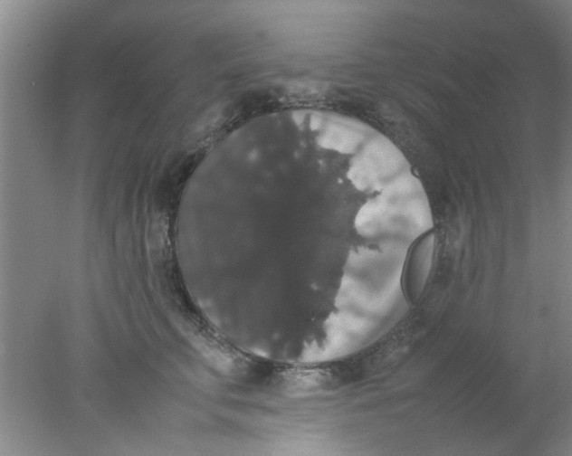 X0000078020711200611171913