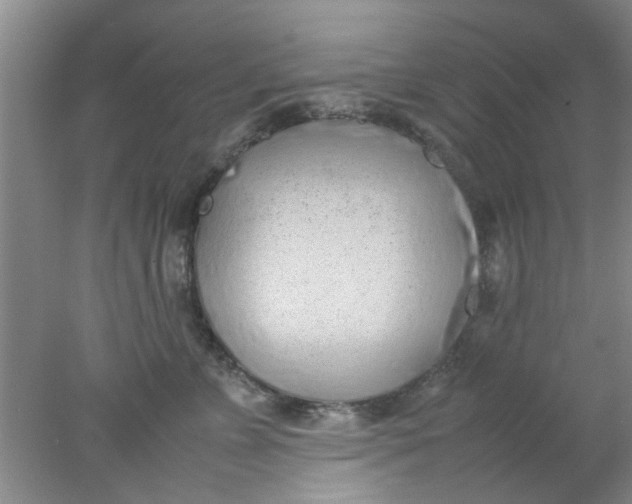 X0000078020715200611171913