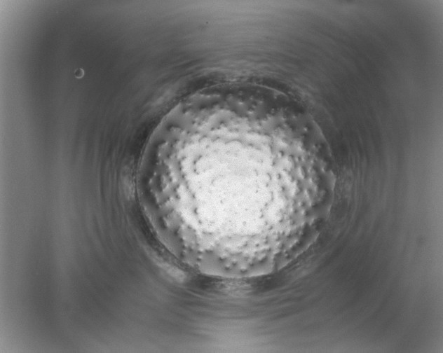 X0000078020719200611171913