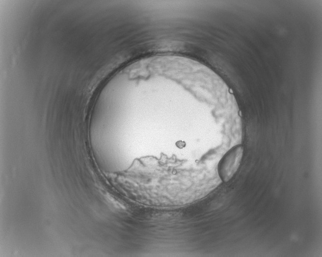 X0000078020721200611171912