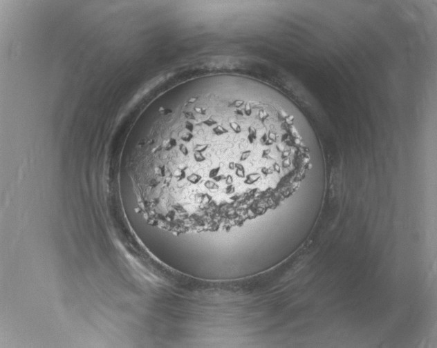 X0000078020722200611171912