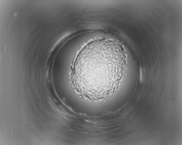 X0000078020723200611171912