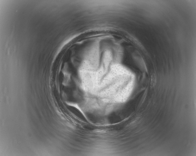 X0000078020724200611171912