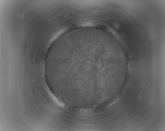 X0000078020725200611171912